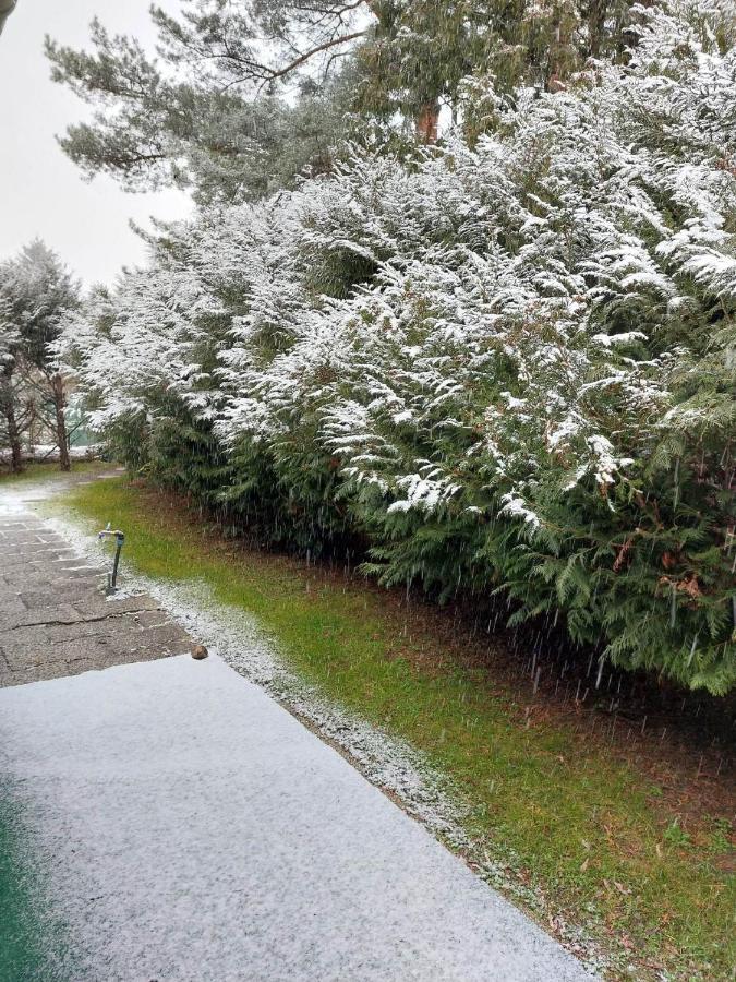 Szamóca Vendégház Horány télen nyáron Szigetmonostor Exterior foto